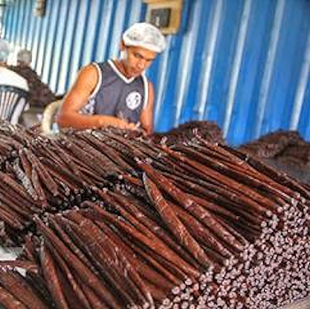 Why the price of vanilla soars